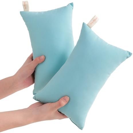 NTBAY Tiny Pillows, Down Alternative 7"x11" Microfiber Mini Pillows for Travel, Pets, Soft Machine Washable Small Pillows for Neck, Wrist, Lumbar and Knee, Aqua
