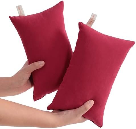 NTBAY Tiny Pillows, Down Alternative 7"x11" Microfiber Mini Pillows for Travel, Pets, Soft Machine Washable Small Pillows for Neck, Wrist, Lumbar and Knee, Red