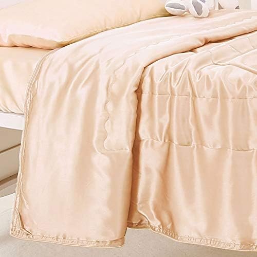 Pure Silk Throw Blanket, 100% Mulberry Silk Inside and Outside, Pure Silk Children Blanket for Couch Bed Sofa Travel - Lightweight Cozy Warm Bed Blanket for All Season (42x59, Champagne) - Image 2