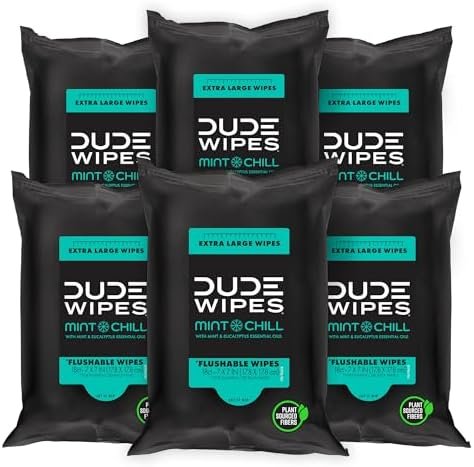 DUDE Wipes - Flushable Wipes Travel Pack - 6 Pack, 108 Wipes - Mint Chill Extra-Large Adult Wet Wipes - Vitamin-E, Aloe Vera, Eucalyptus, and Tea Tree Oils - Septic and Sewer Safe Butt Wipes